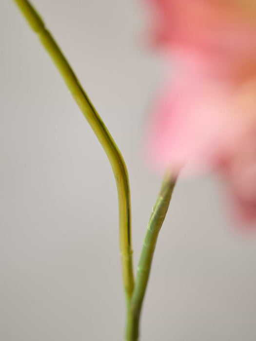 Dahlia Spray - Coral