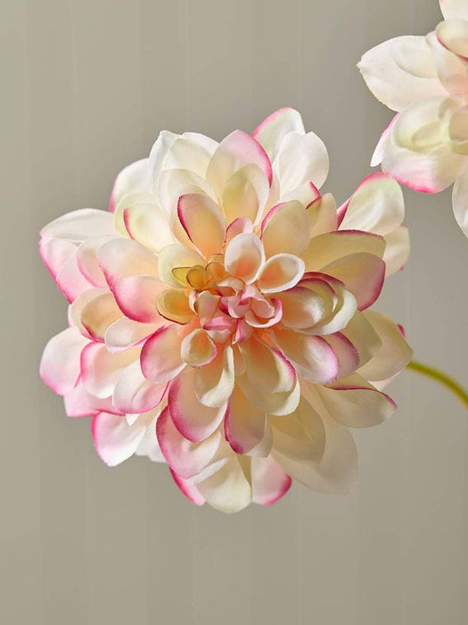 Dahlia Spray - Cream & Pink