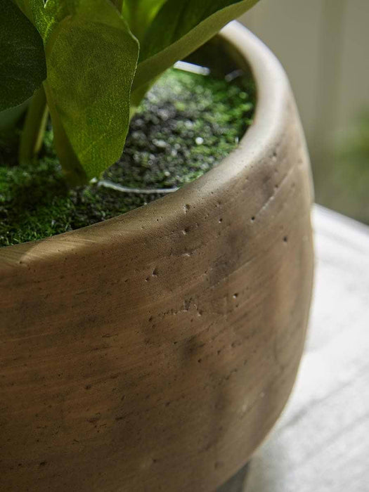 Faux Potted Hellebore - Green