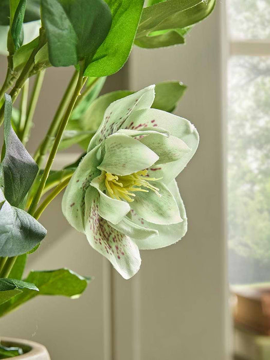 Faux Potted Hellebore - Green