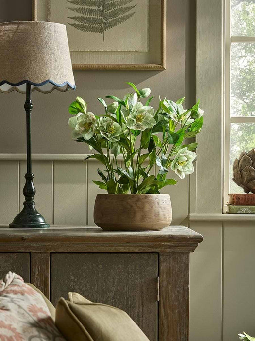 Faux Potted Hellebore - Green