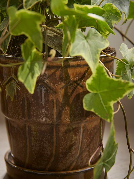Three Lattice Glazed Planters