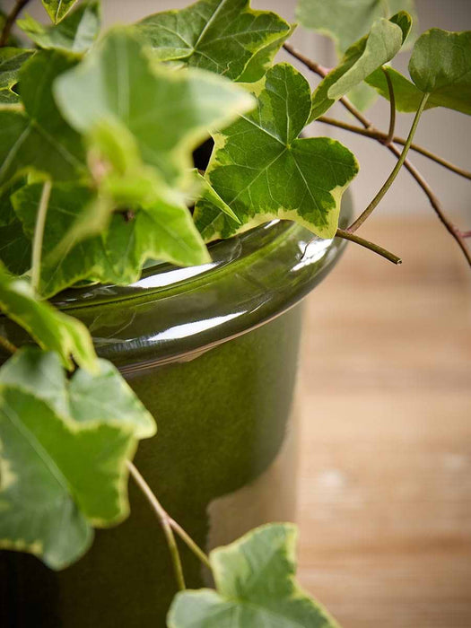 Two Green Rimmed Metal Planters