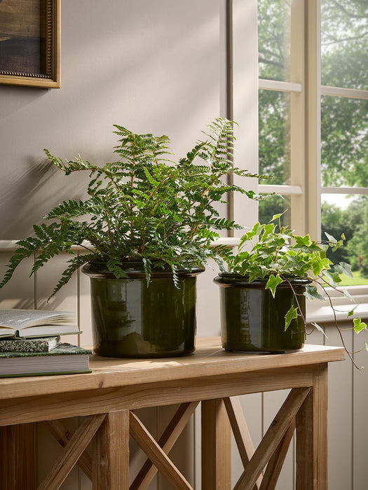 Two Green Rimmed Metal Planters