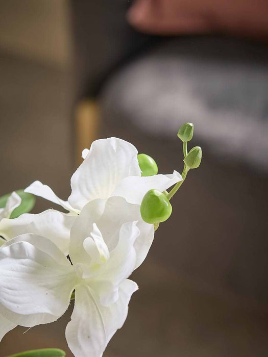 Faux Orchid In Crackle Glaze Pot