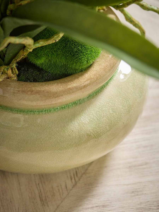 Faux Orchid In Crackle Glaze Pot