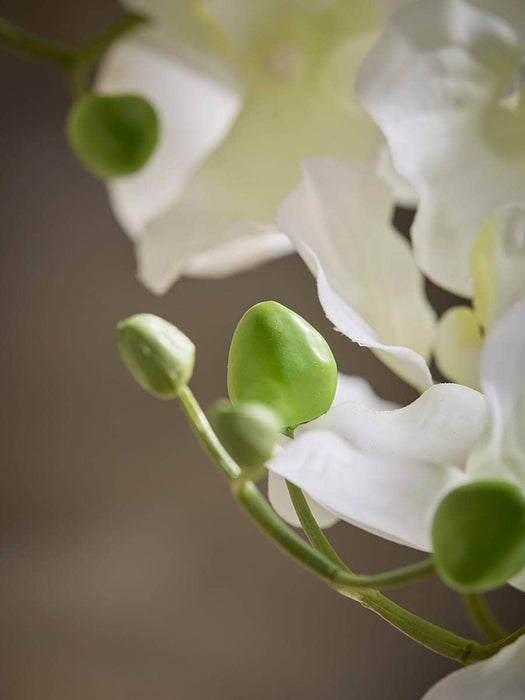 Faux Orchid In Crackle Glaze Pot