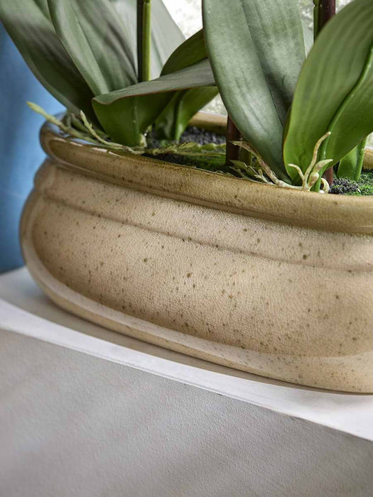 Faux Orchid In Speckled Glazed Pot