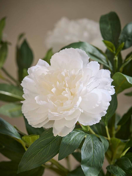 Faux Potted Peony Bush