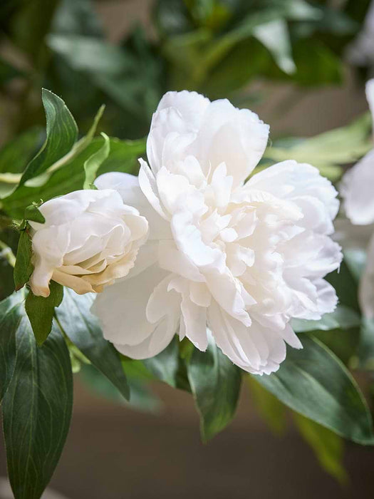 Faux Potted Peony Bush