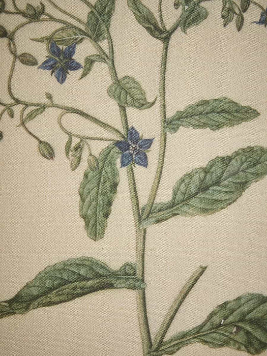 Printed Linen Borage Beaded Frame