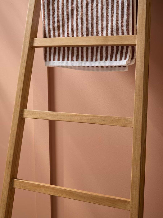 Teak Ladder Shelf