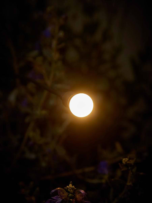 Three Solar Light Bunches