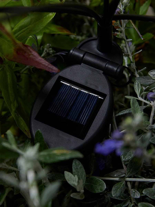Three Solar Light Bunches
