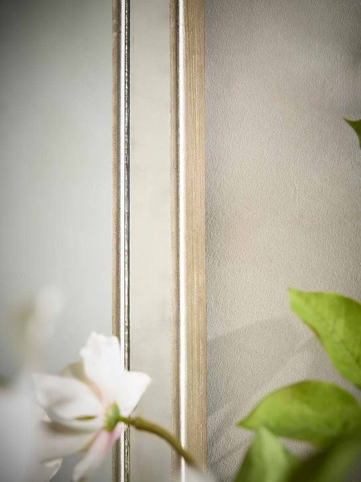 Antiqued Frame Mirror - Rectangle