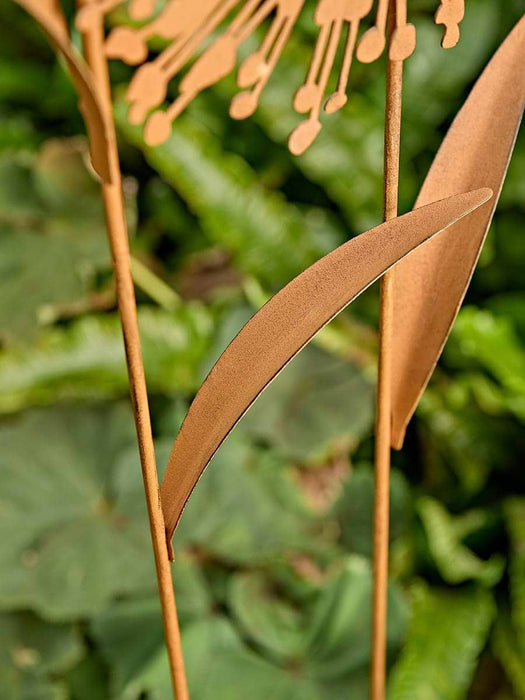 Rusted Allium Trellis