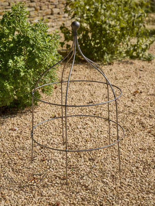 Curvy Metal Plant Support