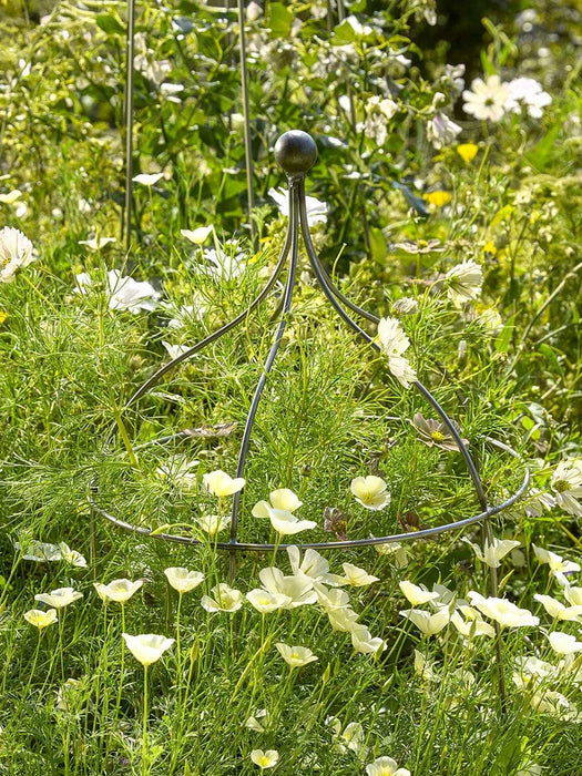 Curvy Metal Plant Support