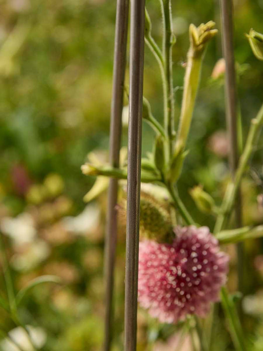 Harvest Obelisk