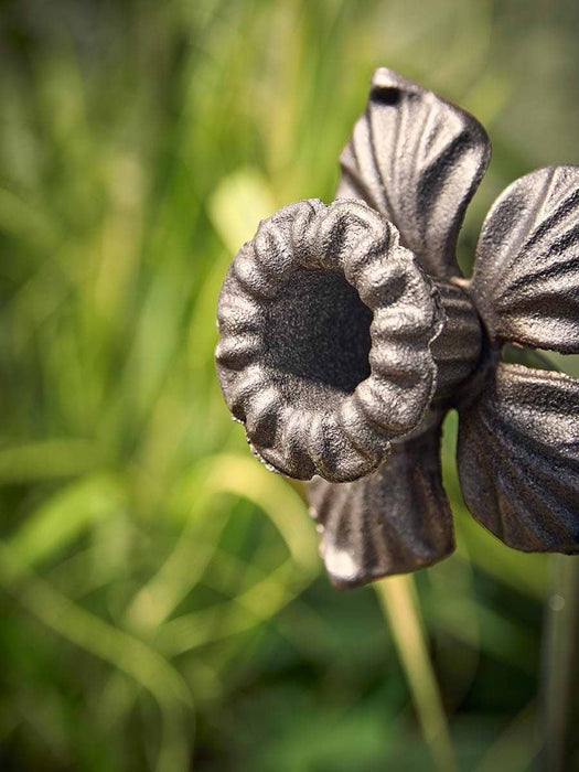 Daffodil Garden Stake