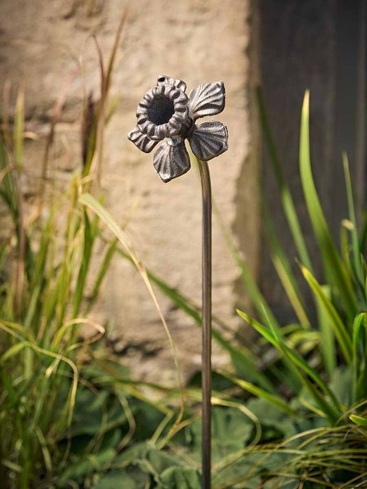 Daffodil Garden Stake