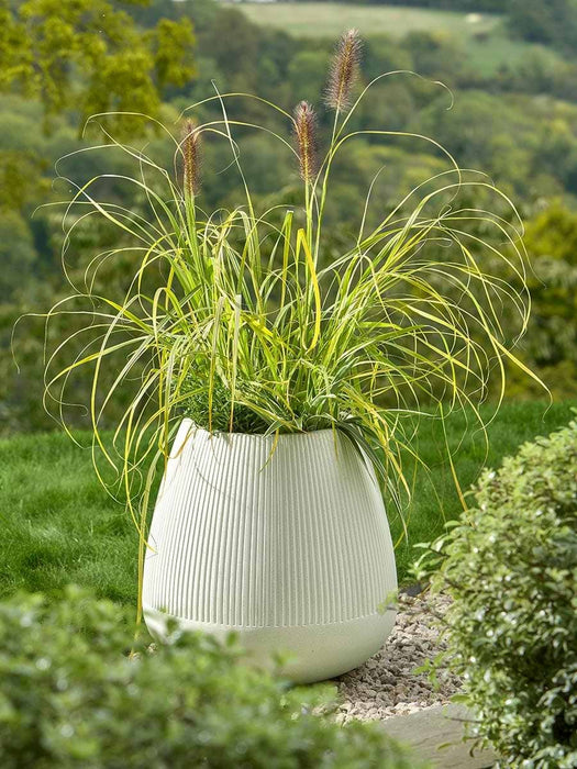 Stonebloom Grooved Planter - Clay