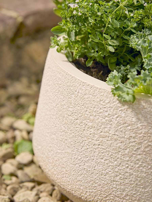 Three Weathered Bowl Planters - Sand
