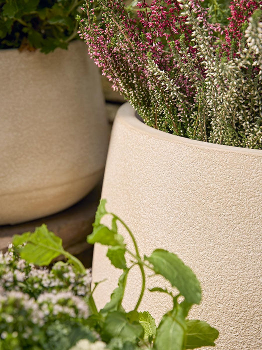 Three Weathered Bowl Planters - Sand