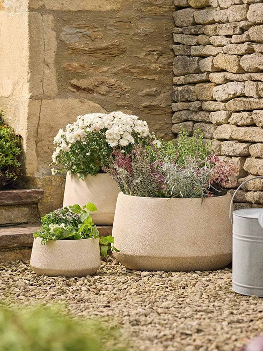 Three Weathered Bowl Planters - Sand