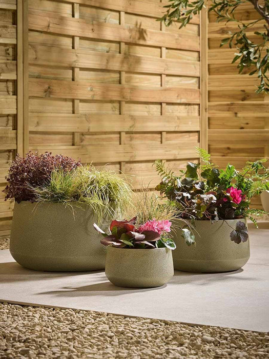 Three Weathered Bowl Planters - Moss Green