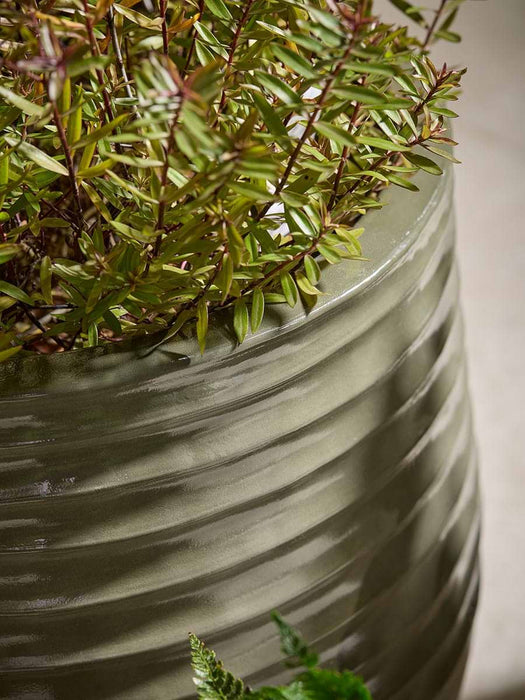 Three Sage Ombre Planters