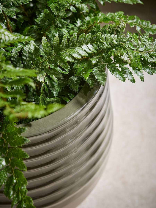 Three Sage Ombre Planters