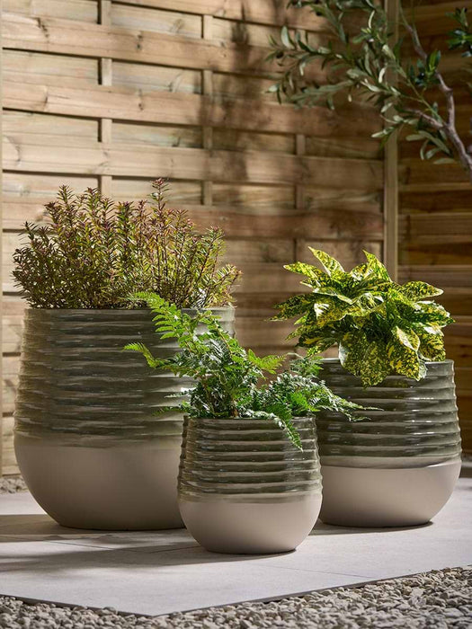 Three Sage Ombre Planters