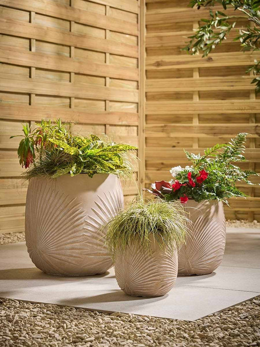 Three Sand Palm Planters