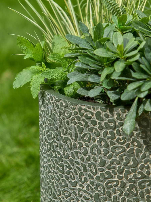 Two Leopard Planters - Dark Moss