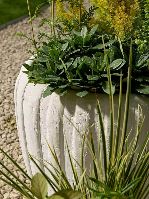 Three Duneform Planters - Clay
