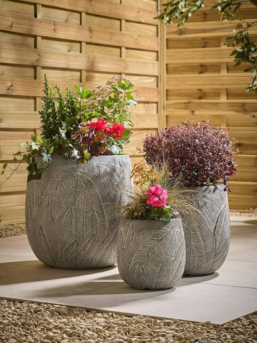 Three Fern Planters - Pale Slate