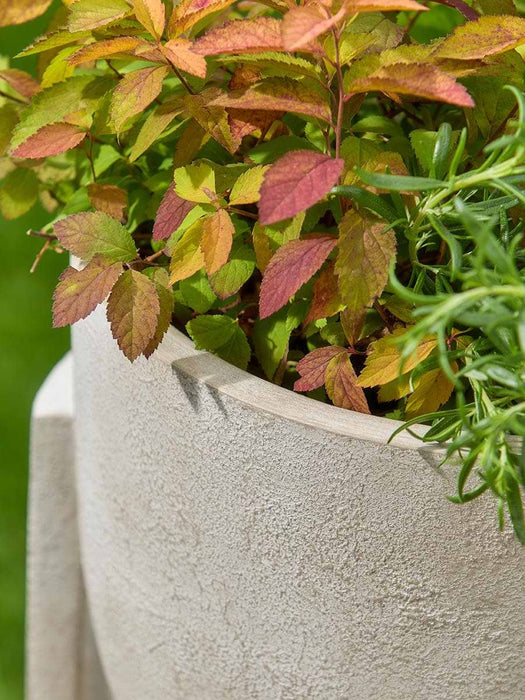 Twin Scoop Sculptural Planter - Clay