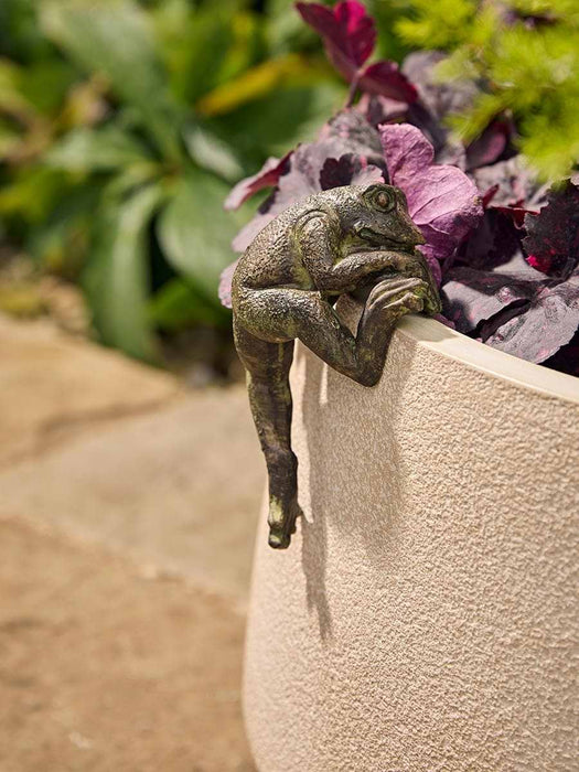 Freddie Frog Pot Hanger