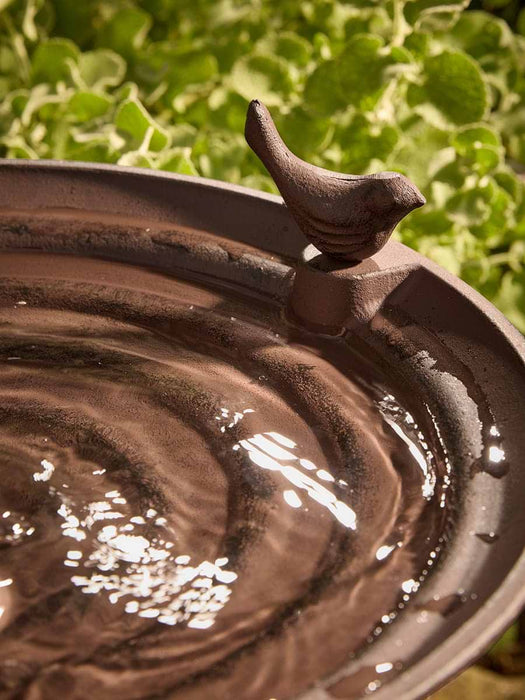 Cast Iron Standing Bird Bath