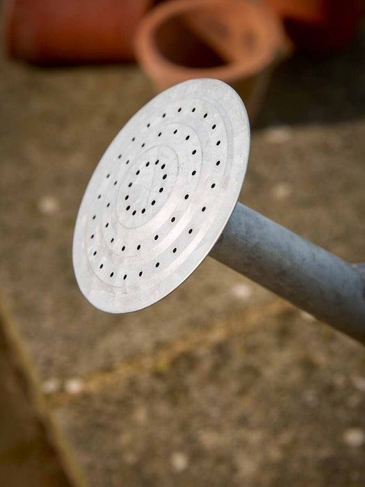 Zinc Watering Can