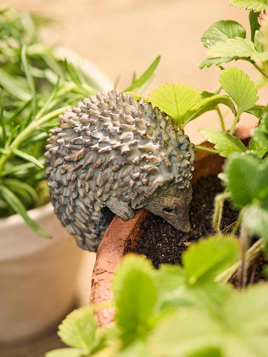 Hetty & Hendrix Hedgehog Pot Hangers