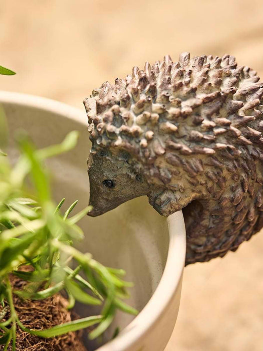 Hetty & Hendrix Hedgehog Pot Hangers