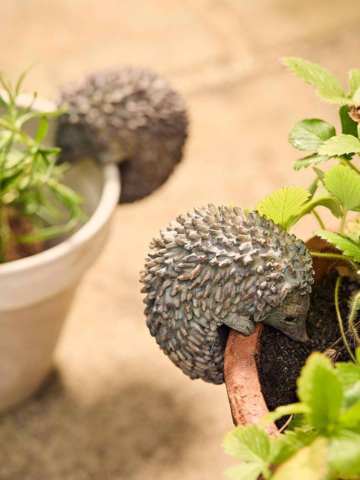Hetty & Hendrix Hedgehog Pot Hangers