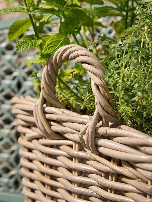 Rattan Gatherer Basket