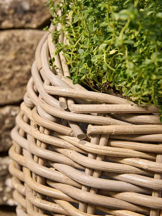 Rattan Apple Pickers Basket