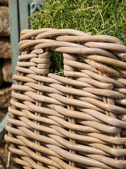 Rattan Apple Pickers Basket