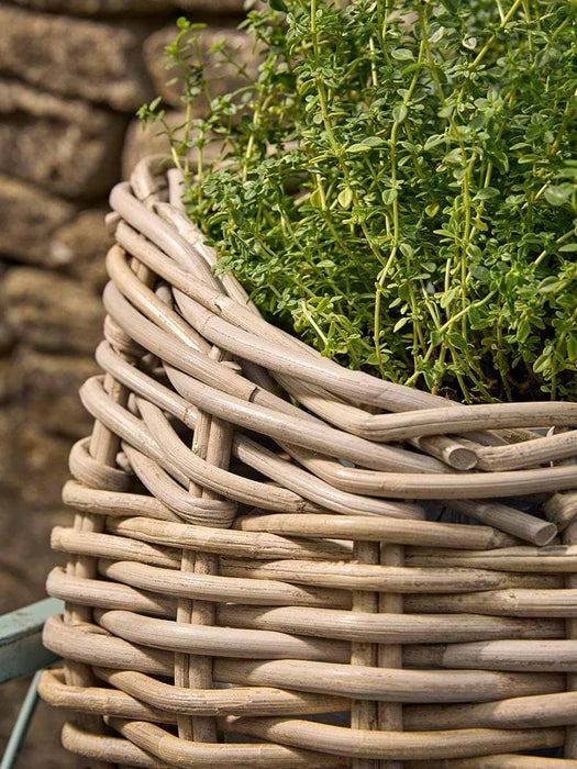 Rattan Apple Pickers Basket