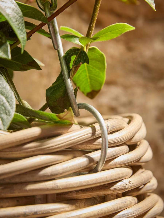 Rattan Bellure Hanging Basket