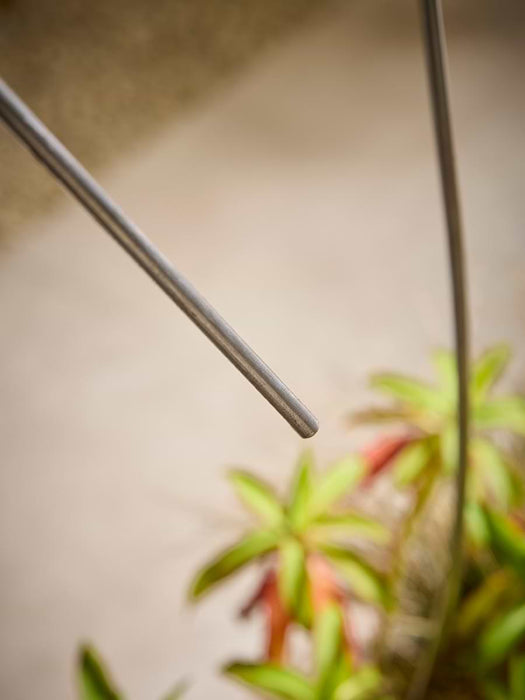 Three Snowdrop Garden Stakes